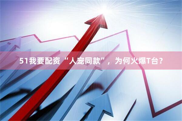 51我要配资 “人宠同款”，为何火爆T台？