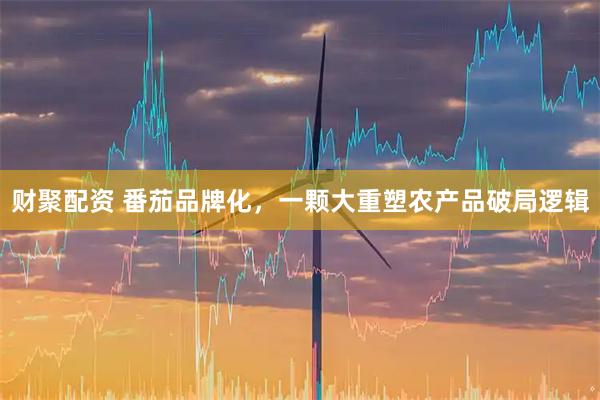 财聚配资 番茄品牌化，一颗大重塑农产品破局逻辑